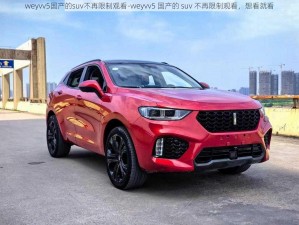 weyvv5国产的suv不再限制观看-weyvv5 国产的 suv 不再限制观看，想看就看