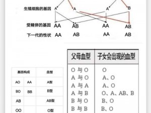 B型外观长相图解;B 型血人的外貌特征及长相图解