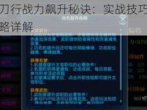 北凉悍刀行战力飙升秘诀：实战技巧与快速提升攻略详解