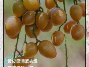 jizz小黄皮-如何评价 jizz 小黄皮？