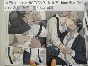 国产chinese男男GAYGAY动漫;国产 chine 男男 GAYGAY 动漫：禁忌之爱与情感纠葛