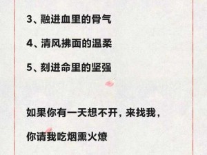 铭刻53法则揭秘：专业配方带你探寻最佳搭配之道