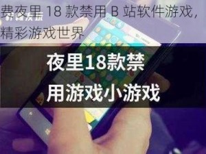 免费夜里 18 款禁用 B 站软件游戏，尽享精彩游戏世界