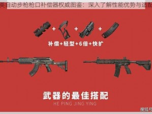 和平精英自动步枪枪口补偿器权威图鉴：深入了解性能优势与适配性分析