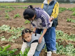 一小孩儿和老师拔萝卜(黄),一小孩儿和老师拔萝卜（黄）：有趣的田园体验