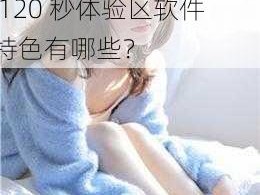 午影皖普通120秒体验区软件特色—午影皖普通 120 秒体验区软件特色有哪些？