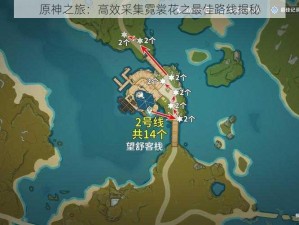 原神之旅：高效采集霓裳花之最佳路线揭秘