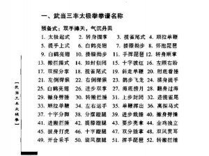 太极剑法奥秘探秘：武当武学之完全解析