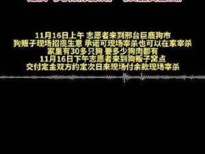 911爆料网八卦有理爆料-911 爆料网被关停揭秘其背后的黑色产业链