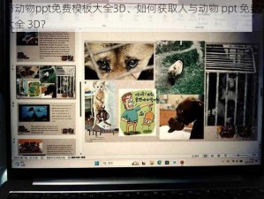 人与动物ppt免费模板大全3D、如何获取人与动物 ppt 免费模板大全 3D？