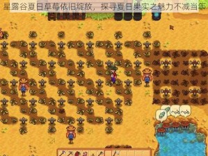 星露谷夏日草莓依旧绽放，探寻夏日果实之魅力不减当年