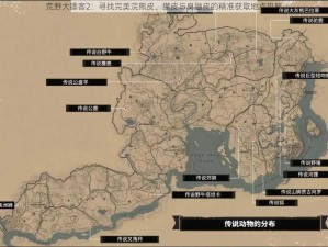 荒野大镖客2：寻找完美浣熊皮、獾皮与臭鼬皮的精准获取地点攻略