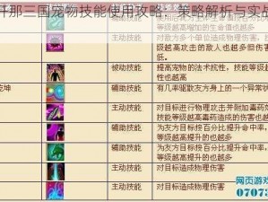 放开那三国宠物技能使用攻略：策略解析与实战指南