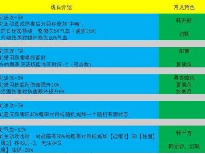 关于绯石之心拉姆达的全面装备及魂石搭配推荐指南