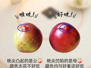 蜜桃精品_如何挑选优质的蜜桃精品？