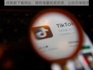 tiktok 成熟版下载网址，拥有海量视频资源，让你尽享视觉盛宴