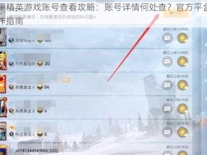 和平精英游戏账号查看攻略：账号详情何处查？官方平台与操作指南