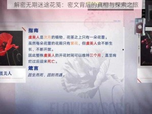 解密无期迷途花笺：密文背后的真相与探索之旅