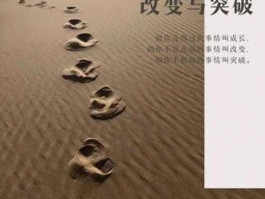 《中国式老板的第十二关：如何突破与超越》