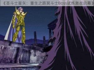 《圣斗士星矢：重生之路冥斗士Boss试炼激战启幕》