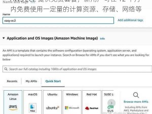 AWS EC2 提供免费套餐，新用户可在 12 个月内免费使用一定量的计算资源、存储、网络等