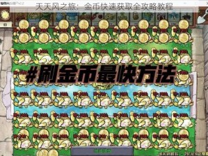 天天风之旅：金币快速获取全攻略教程