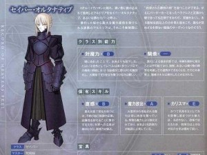 FGO Saber两仪式全面解析：属性技能、宝具及实战效果深度探究