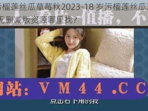 18岁污榴莲丝瓜草莓秋2023-18 岁污榴莲丝瓜草莓秋 2023 无删减版资源哪里找？