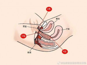 男人扒开女人秘 桶到爽 51 区——男女私密健康专家