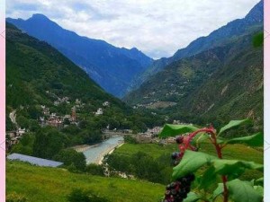 莫斯卡：探寻未知世界的神秘魅力与独特风情之旅