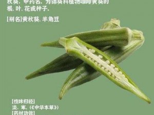 草莓丝瓜芭乐樱桃秋葵小蝌蚪榴莲幸福宝、吃了草莓丝瓜芭乐樱桃秋葵小蝌蚪榴莲幸福宝后，我......