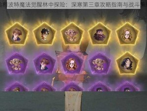 哈利波特魔法觉醒林中探险：深寒第三章攻略指南与战斗策略