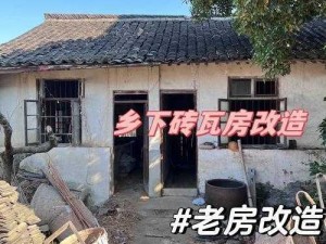 打造我的理想家园：个性化改造全攻略