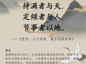 跨越时空的战国抉择：信长之邀，去或留的深情思考