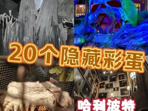 哈利波特：魔法巫师集市彩蛋探索指南：神秘位置揭秘与攻略分享