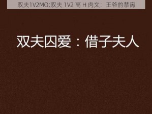 双夫1V2MO;双夫 1V2 高 H 肉文：王爷的禁脔