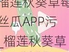 榴莲秋葵草莓丝瓜APP污_榴莲秋葵草莓丝瓜 APP 污：探索未知的世界