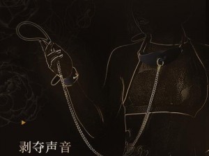 推荐以下 bdsm 调教惩罚产品：羞辱项圈：让你时刻牢记自己的身份