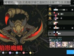 攻略揭秘：战胜灵魂潮汐悼亡曲BOSS全解析与实战策略