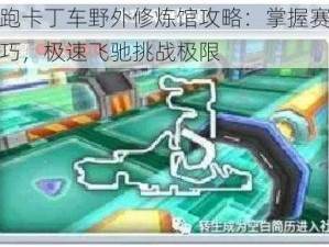 跑跑卡丁车野外修炼馆攻略：掌握赛道技巧，极速飞驰挑战极限