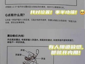 www调教;如何在www调教中获得更好的体验？