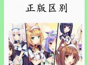 冷狐随便看内部位的rpg手游-冷狐随便看内部位的 rpg 手游，玩法丰富自由度高