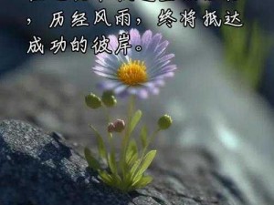 跌倒后重生：逆境中的坚韧与力量，挑战自我，重新站立的手机壁纸