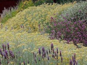 野花视频最新免费高清完整在线观看【野花视频最新免费高清完整在线观看：无码专区，尽享视觉盛宴】