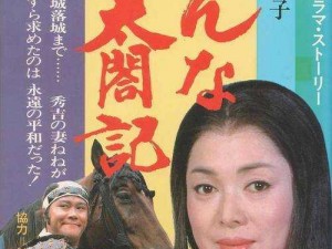 4399日本电视剧免费观看(老年版)—4399 日本电视剧免费观看（老年版）：海量剧集，精彩不断