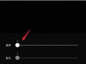 抖音原声灰色无法调整？解决原声调节全攻略