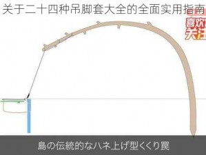 关于二十四种吊脚套大全的全面实用指南