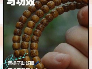 放置江湖：菩提子的神秘用途与实际应用价值探讨