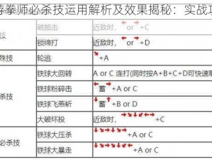 流星蝴蝶剑手游拳师必杀技运用解析及效果揭秘：实战攻略教你玩转拳师大招技巧