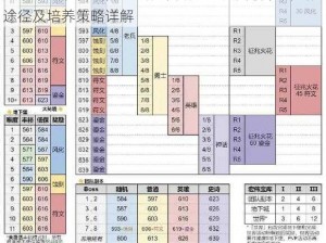 天域幻想装备培养与强化攻略：全面解析装备强化途径及培养策略详解